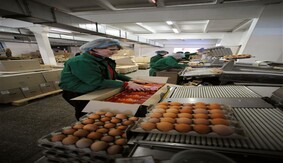 ​В Запорожской области создают добровольческий танковый батальон