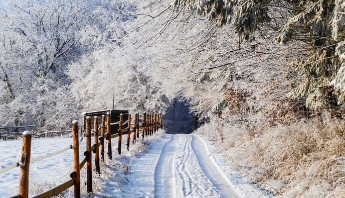 За туманом йде відлига: прогноз погоди в Україні 11 грудня