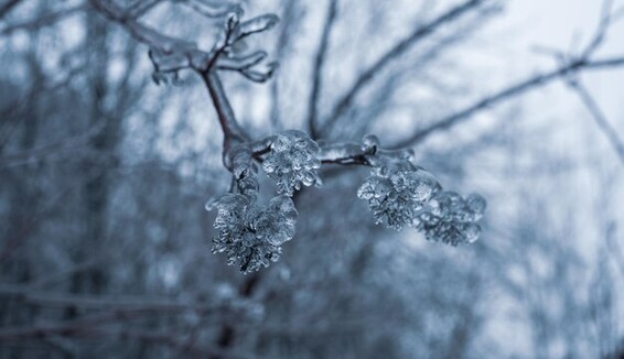 Надвигается Армагеддон: в Украину идут мощные снегопады и ледяные дожди
