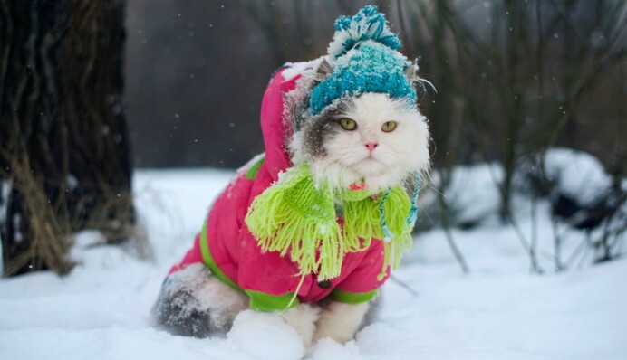 В части Украины будет дождь, в другой части – мокрый снег: прогноз погоды на среду, карта