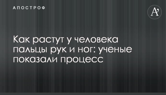 Как растут у человека пальцы рук и ног: ученые показали процесс
