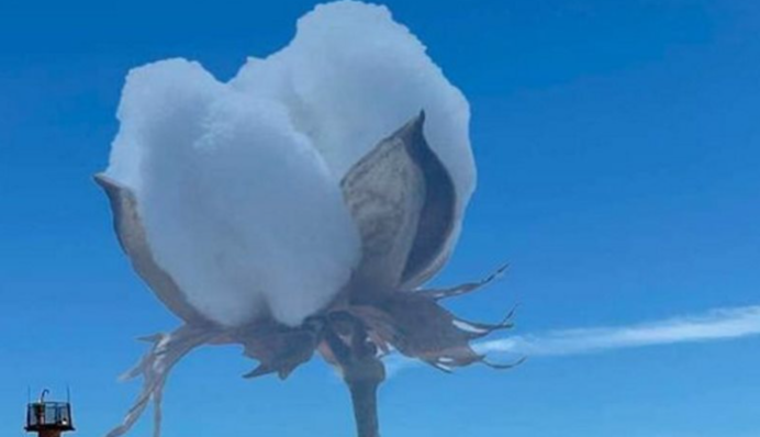 В Росії поскаржилися на масову атаку дронів: "бавовна" завітала на військовий аеродром, відео