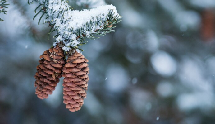 Україну накриють мокрий сніг і дощі: де буде небезпечна погода, карта