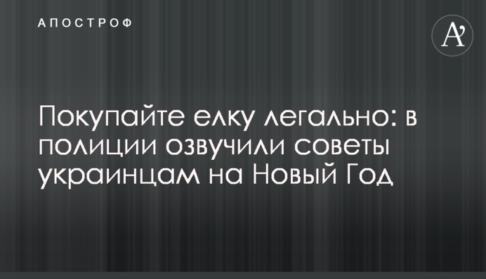 Купуйте ялинку легально: в поліції озвучили поради українцям на Новий Рік