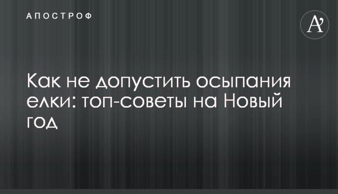 Как не допустить осыпания елки: топ-советы на Новый год