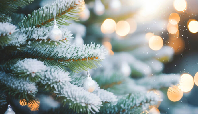 Чи чекати в Україні різдвяних морозів: з’явився детальний прогноз на передсвятковий тиждень