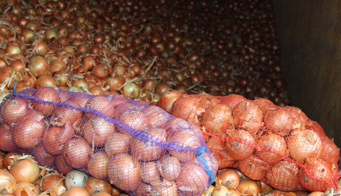 В Украине упали цены на один из основных продуктов: это еще не предел