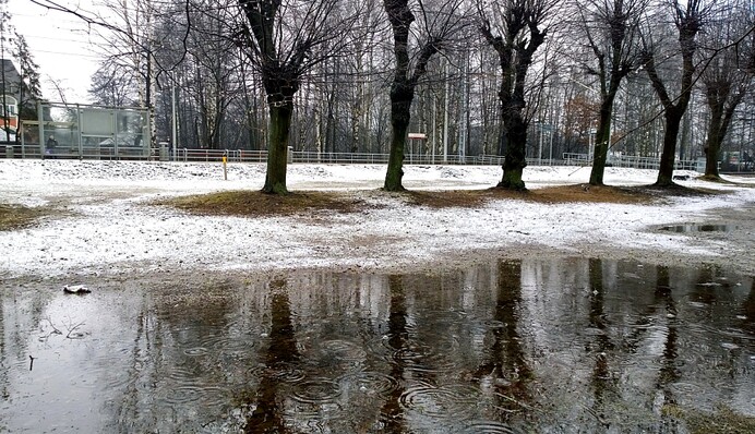 Какую погоду ожидать на Рождество и Новый год: появился свежий прогноз до конца декабря