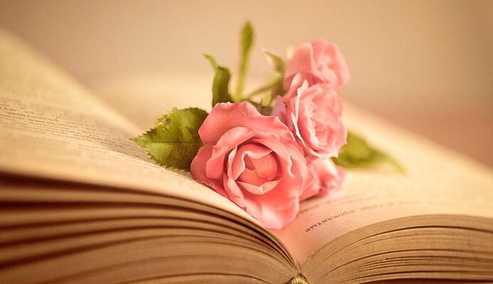 Эти популярные слова большинство украинцев пишут с ошибкой: где не нужно ставить дефис