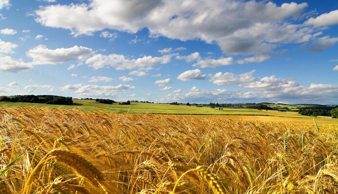 С женщиной-президентом начнется расцвет Украины: появился обнадеживающий прогноз на 2024 год