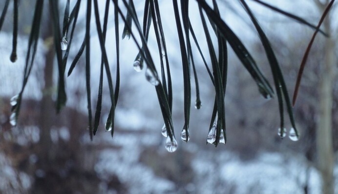 Порывистый ветер, небольшое похолодание: карта и прогноз погоды на Рождество