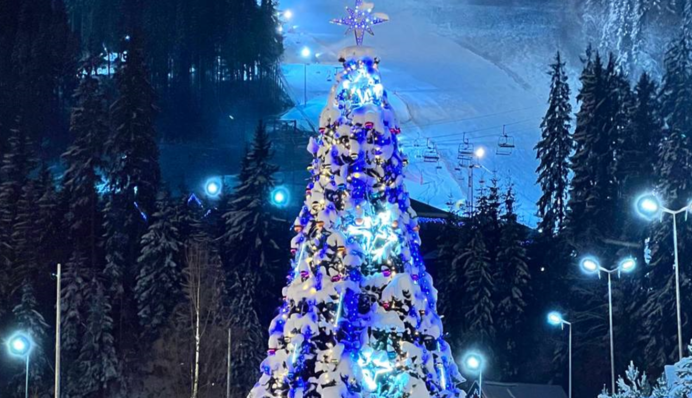 Сказочный пейзаж: в сети показали новогоднюю елку на Буковеле