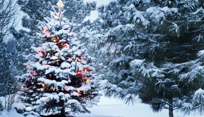 Якою буде погода на Новий рік і коли чекати похолодання: з’явився свіжий прогноз
