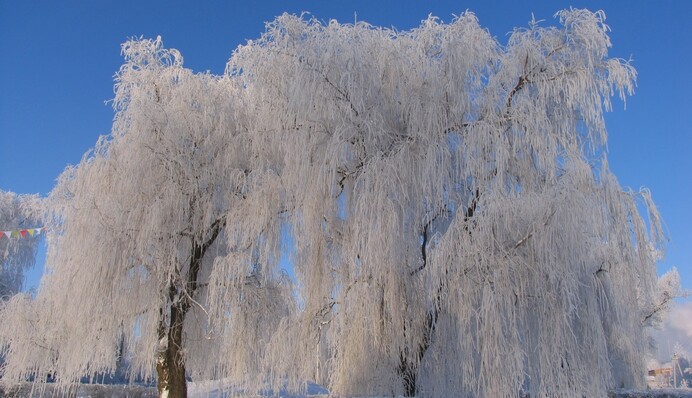 Украину накроет резкое похолодание с вьюгами и ледяными дождями: синоптики дали свежий прогноз