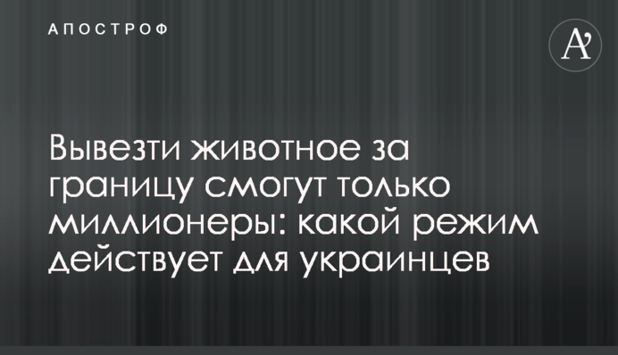 Вивезти тварину за кордон зможуть лише мільйонери: який режим діє для українців
