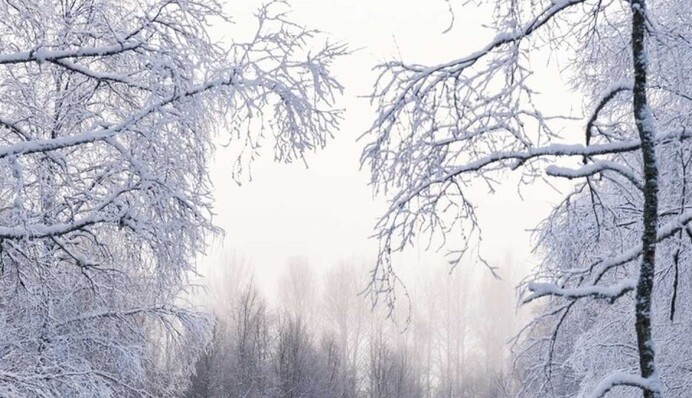 В Украину идут 20-градусные морозы: синоптики назвали дату резкого похолодания