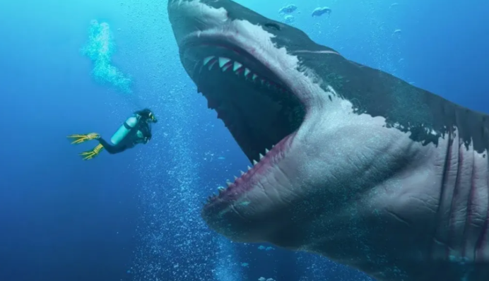 Розміри вражають всіх: вчені знайшли зуб найбільшої акули в світі