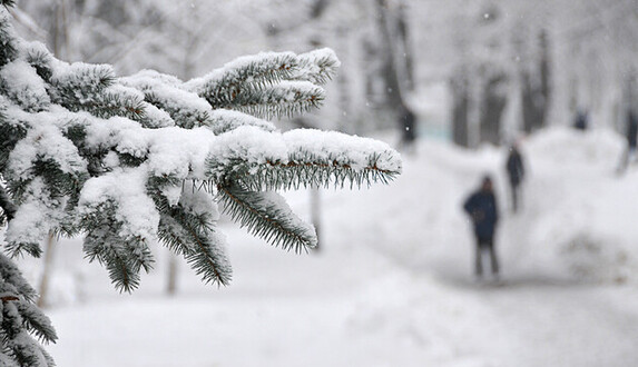 Сонячно і морозно: у вівторок українців чекає гарний зимовий день, карта