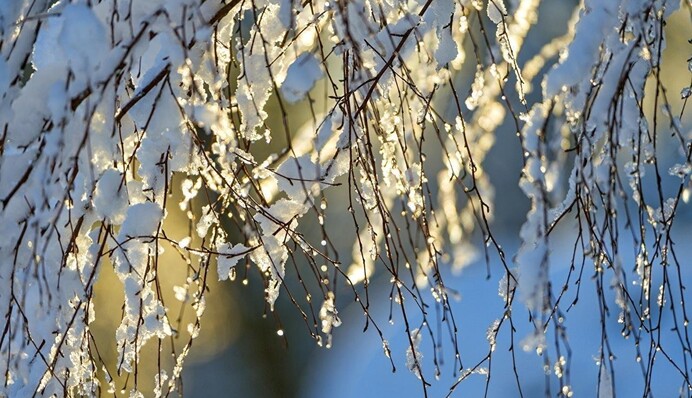 В Україну увірветься потепління: в частину країни прийдуть денні 
