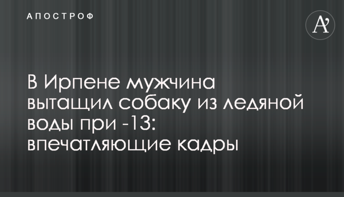 В Ирпене мужчина вытащил собаку из ледяной воды при -13: впечатляющие кадры