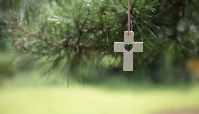 Не обижайте кошку, чтобы не накликать беду: какой праздник 13 января и что запрещено