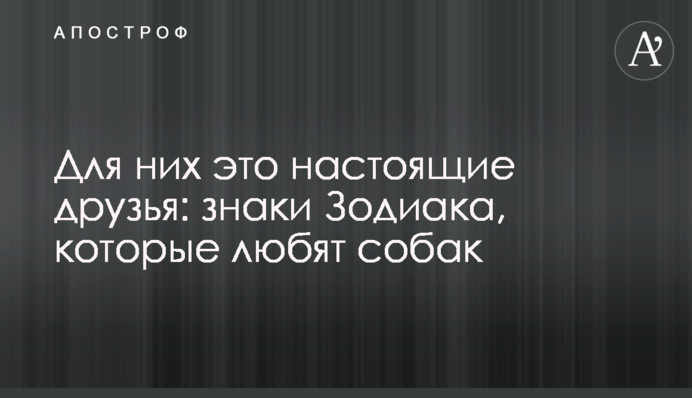 Для них это настоящие друзья: знаки Зодиака, которые любят собак