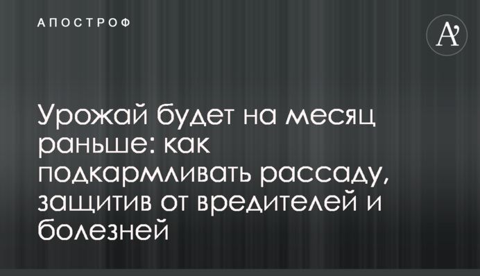 Урожай будет на месяц раньше: как подкармливать рассаду, защитив от вредителей и болезней