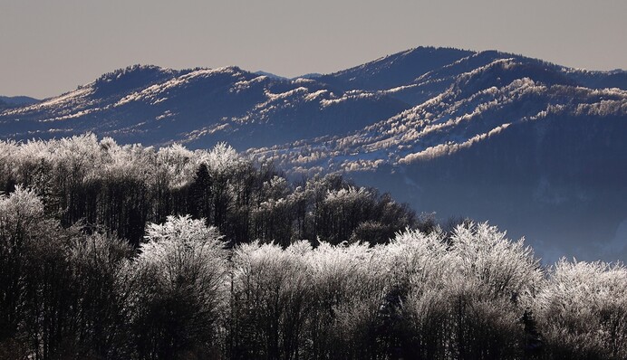 Справжня зимова казка: в мережі показали кадри Карпат з висоти пташиного польоту