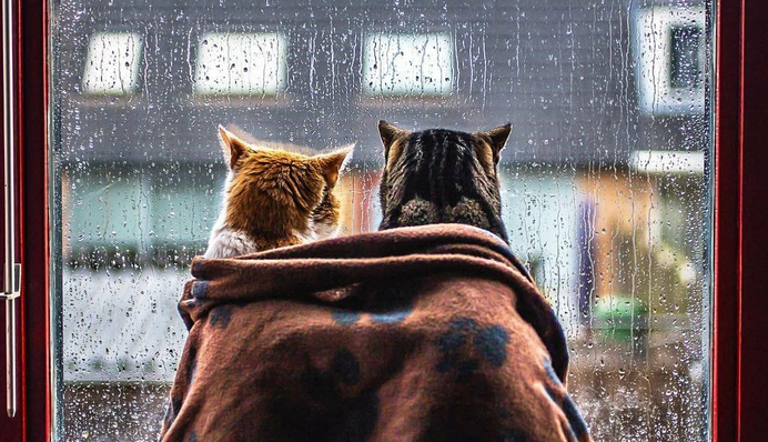 Україну накриють снігопади з дощами: карта погоди