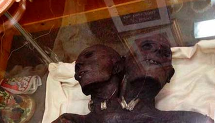 Правда или миф? Что известно о двуглавом великане из Патагонии