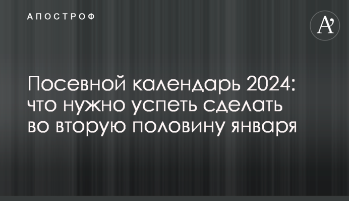 Посевной календарь 2024: что нужно успеть сделать во вторую половину января