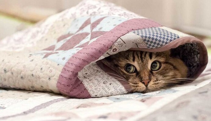 В Україні будуть 16-градусні морози: новий прогноз