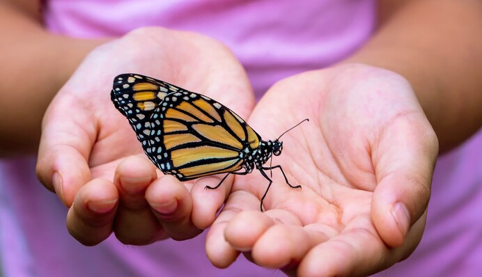 Легко піддаються маніпуляціям: названі найбільш довірливі знаки Зодіаку