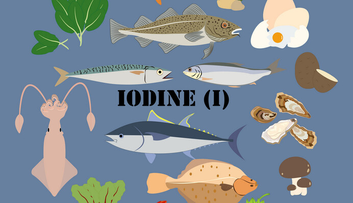 Диетолог рассказал, для чего нужен йод в организме и в каких продуктах он содержится