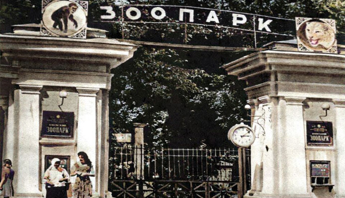 Яким був Київ у 1960-ті роки: фото з архівів