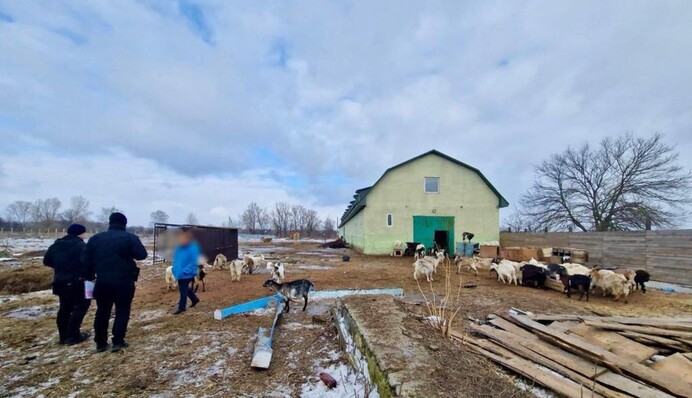 Жестоко издевались над животными: под Киевом задержали владельцев приюта