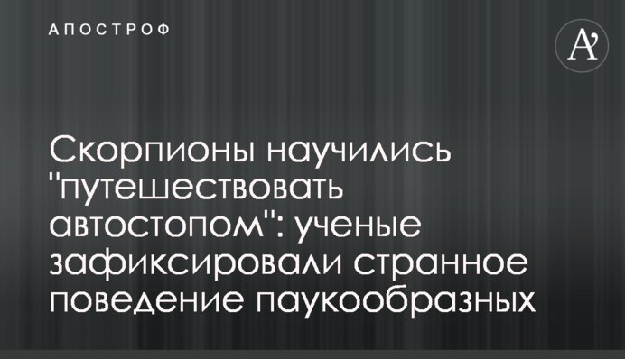 Скорпионы научились 
