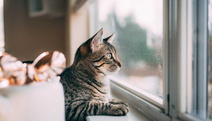 Тепліше за норму: якою в Україні буде погода у лютому-2024