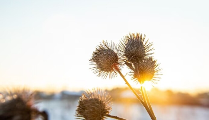 В этот день варили и ели кашу всей семьей: какой праздник 29 января, приметы и запреты