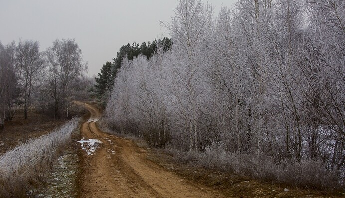 Сонячно і без опадів: в Україні встановиться комфортна зимова погода, карта