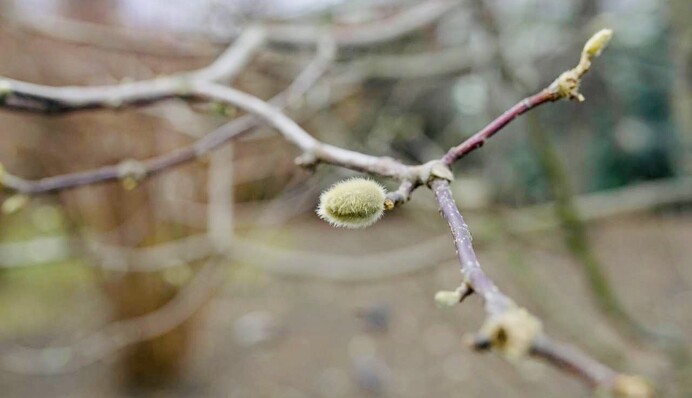 Температура в Україні піде в "плюс": кліматолог сказав, коли це станеться