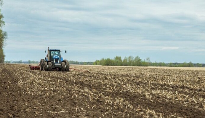 Посівний календар на лютий-2024: як городникам підготуватись до нового сезону