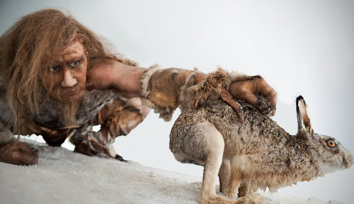 Змінює уявлення про заселення Європи: вчені з'ясували, коли первісні люди перетнули Альпи