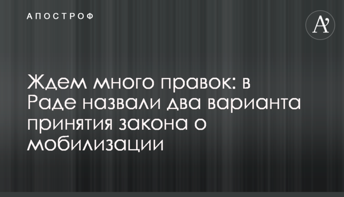 Ждем много правок: в Раде назвали два варианта принятия закона о мобилизации