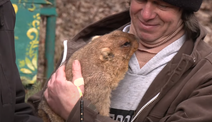Що чекає на Україну через шість тижнів: бабак Тимко зробив прогноз на весну