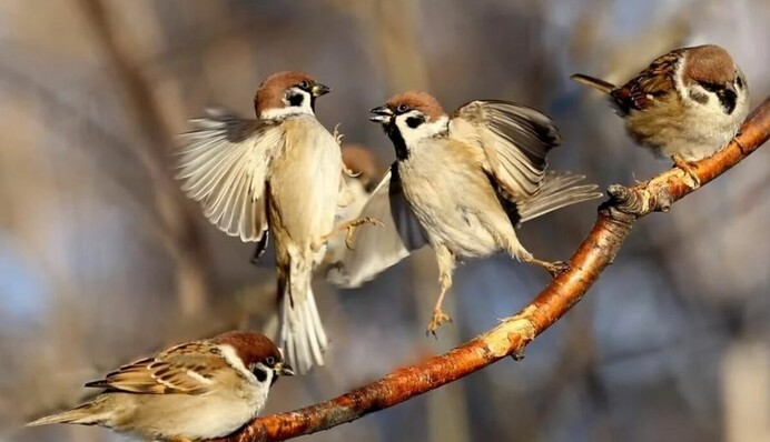 В Украине до +10, но будут и неприятные сюрпризы: прогноз синоптиков на 4 февраля