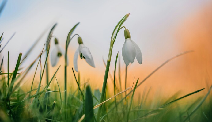 В Украину идет аномальное потепление: прогноз синоптика на неделю