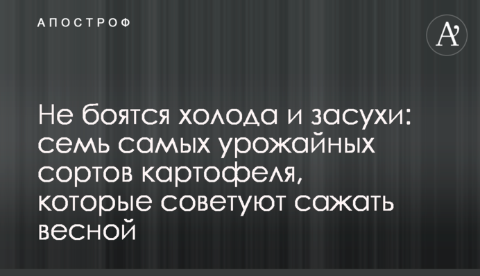 Не боятся холода и засухи: семь самых урожайных сортов картофеля, которые советуют сажать весной