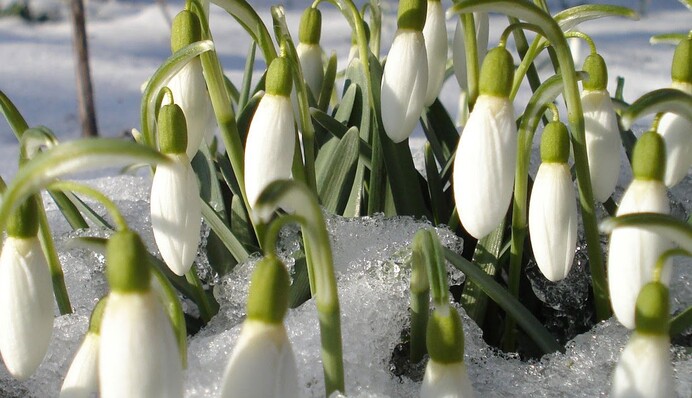 Лютий згадає, що він лютий: в Україну в четвер прийде похолодання