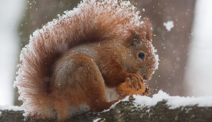 Погода в Украине на выходные: где будет тепло 10 и 11 февраля